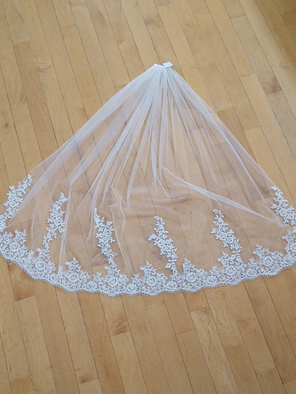 Heavy Lace Edge Veil